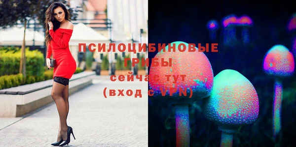 МДМА Инсар
