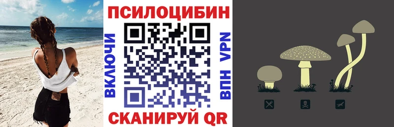 купить наркоту mega рабочий сайт Галлюциногенные грибы Psilocybine cubensis Моршанск